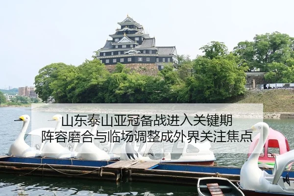山东泰山亚冠备战进入关键期 阵容磨合与临场调整成外界关注焦点